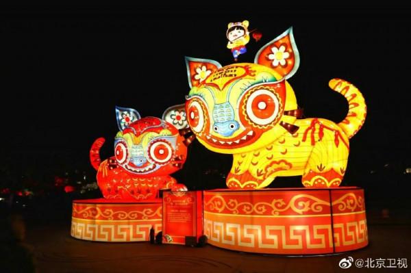 北京世園公園的夜色原來可以這麼美