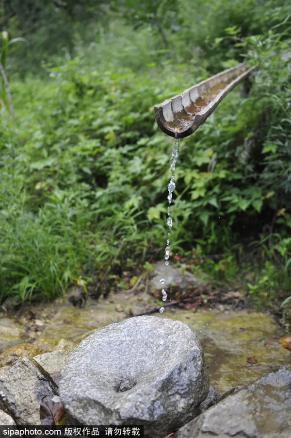 美爆了！這個寶藏公園藏著一大片花海，還有紅葉、銀杏！