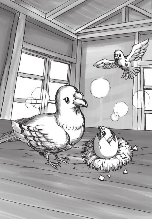 穿越喜馬拉雅的信鴿