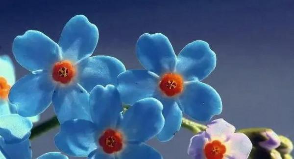 55歲阿姨：那時候連我做的飯都不吃的人，年老了卻離不開我