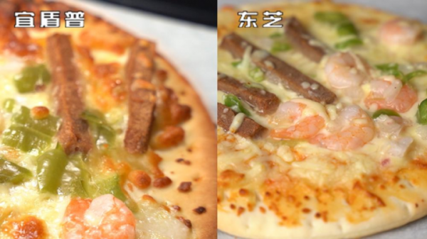 5000元價位微蒸烤一體機大比拼，東芝VS宜盾普，誰的表現更出色？