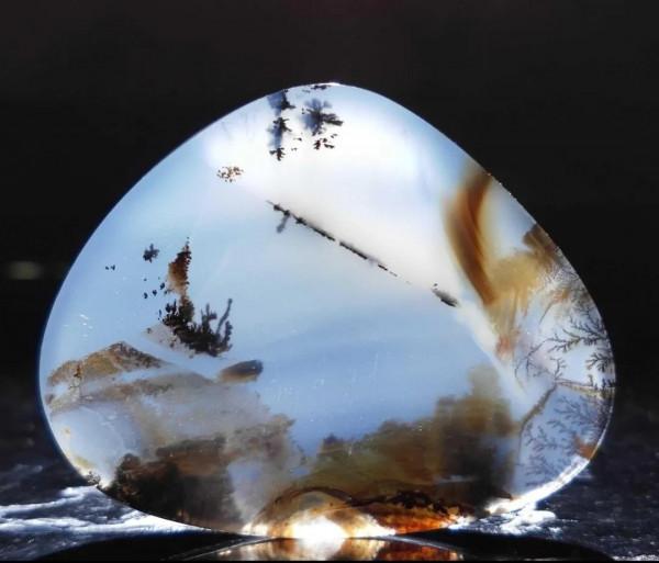 海洋精靈（下）