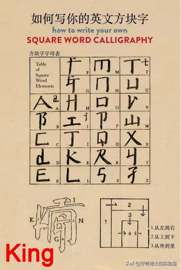 冷知識：每一顆牙齒的平均壽命其實都不同
