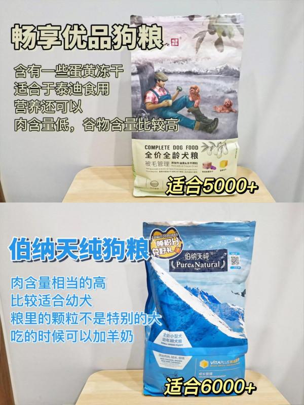 這些狗糧其實都是毒糧，你咋還在喂？