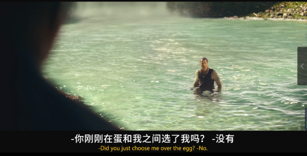 《紅色通緝令》電影解說