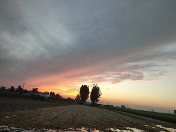 失去了聲帶的老鄉