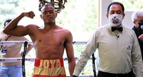 五場比賽五次KO!這個叫戈麥斯的古巴拳手,表現得有點火爆 五場比賽五次KO!這個叫戈麥斯的古巴拳手,表現得有點火爆