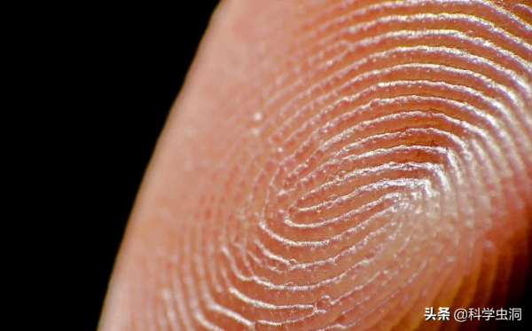 一斗窮、二斗富？康熙10個“簸箕”，科學家發現鬥與簸箕的奧秘