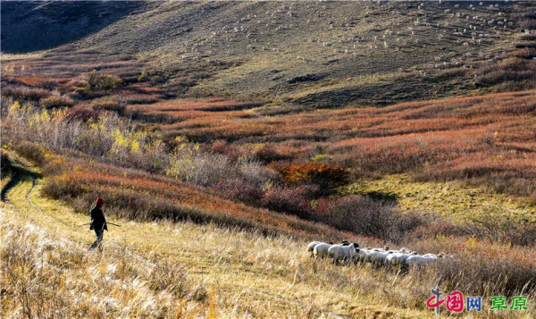 在怪山體驗,秋天的正確開啟方式 在怪山體驗,秋天的正確開啟方式