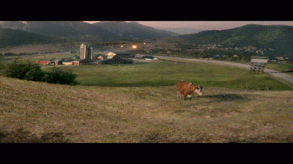 生化危機電影《歡迎來到浣熊市》