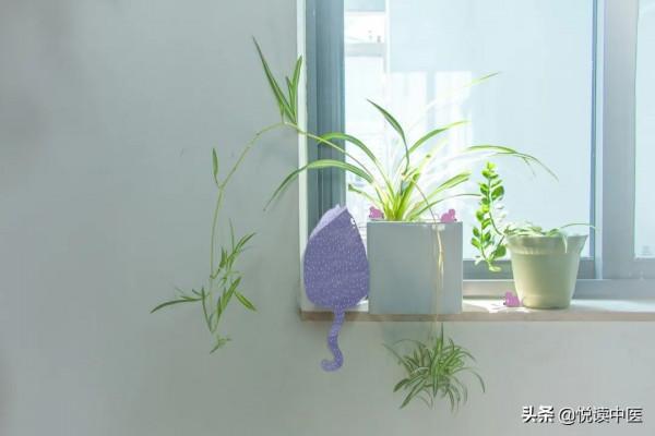 一文弄懂三焦辨證,要點全在裡面 一文弄懂三焦辨證,要點全在裡面