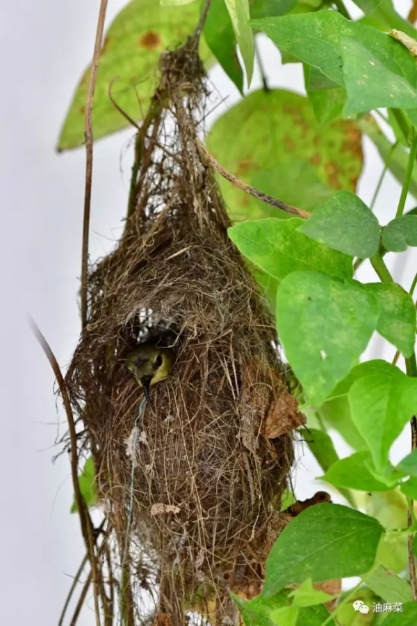 瀟灑離家的時候，你看不到媽媽的表情