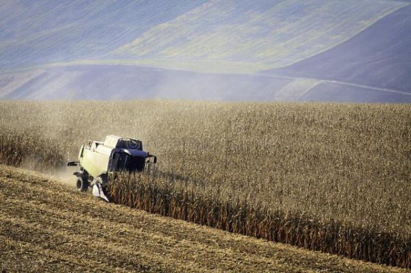 2月3日國際糧價：糧食戰爭中的糧食危機有多嚴重？