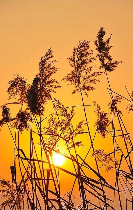東平湖深秋美景惹人醉 東平湖深秋美景惹人醉