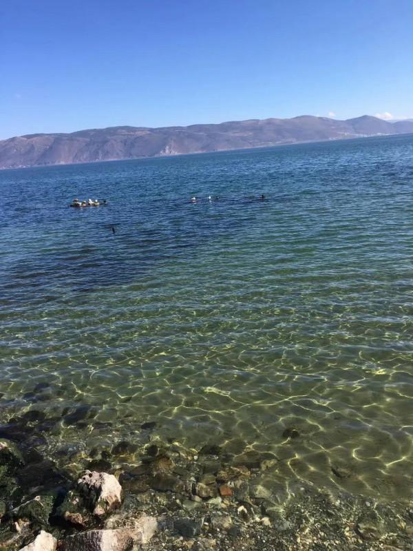 大理洱海人與自然