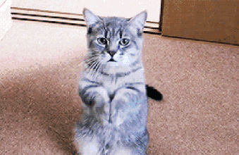 聊聊米格-35：新天空的新支點，是脫胎換骨，還是渣無止境？