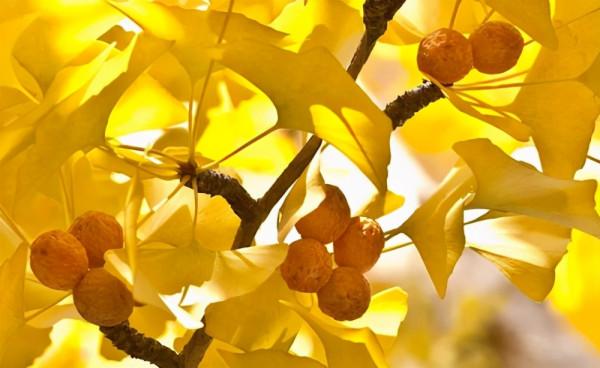 這樣跟你說話的人，品行好，值得深交