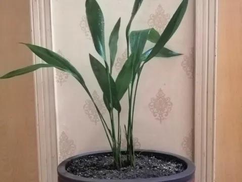 如何讓衛生間美觀大氣、舒適雅緻、空氣清新? 如何讓衛生間美觀大氣、舒適雅緻、空氣清新?