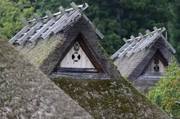 38間破茅草房竟成網紅村，每年30萬人打卡，美麗鄉村怎離得開