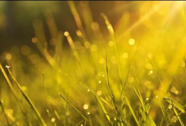 《增廣賢文》中關於調節心態的9句話