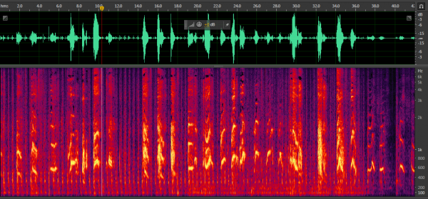我在網際網路大廠當鑑黃師：不看黃圖敲程式碼，同事全都是博士