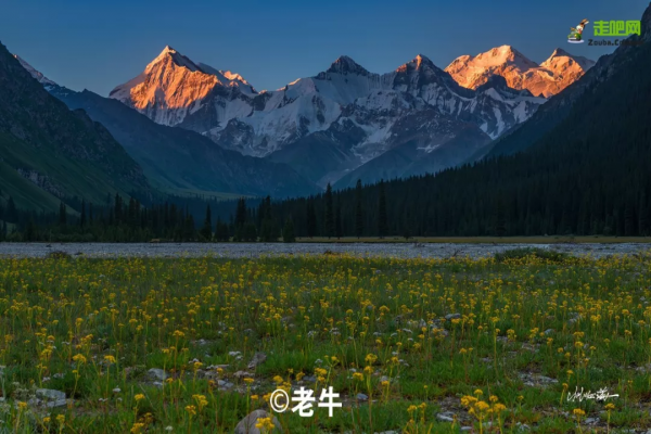 1028名日本人報名遊新疆？新疆顏值實錘了，一年四季，美麗不停歇