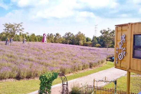 【探索】在長三角一體化示範區，尋找秋天的色彩