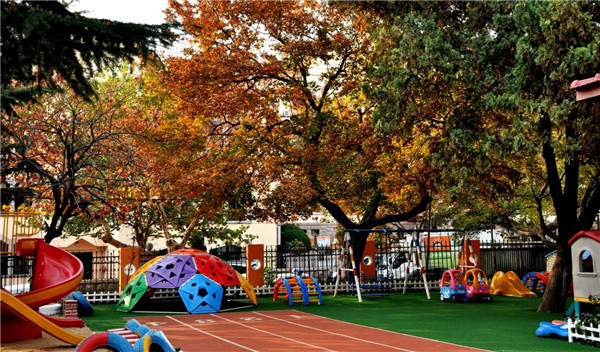 中國故事丨蘇衛晗:唯有熱愛,可抵歲月悠長 中國故事丨蘇衛晗:唯有熱愛,可抵歲月悠長