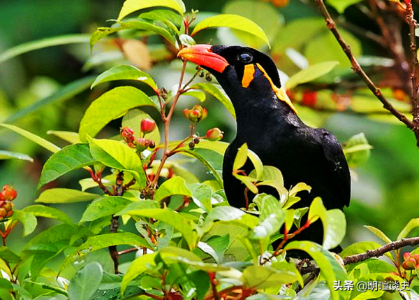 清代一樁奇案，老宅半夜鬧鬼，案情撲朔迷離，捕頭破案，揭穿謎底