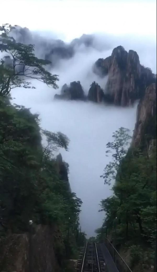 粒子構成細再構成生命意識。是粒子有意識還是組織結構產生意識? 粒子構成細再構成生命意識。是粒子有意識還是組織結構產生意識?