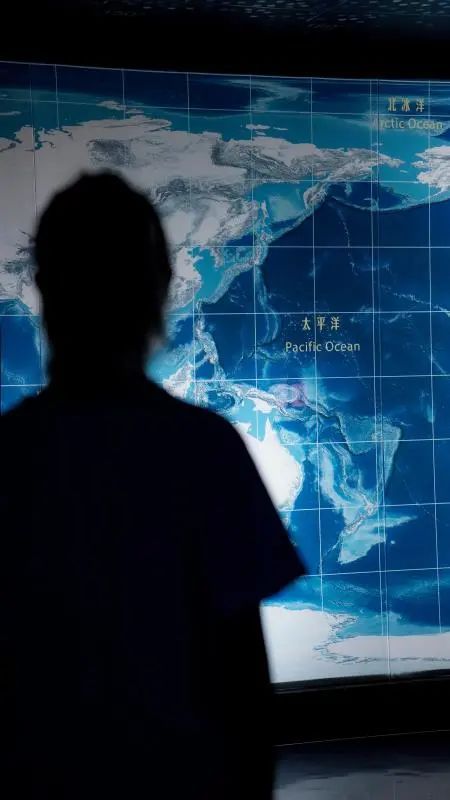 打卡！同濟這個神秘浪漫“基地”火出圈