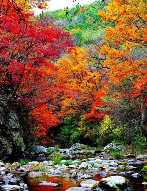 今日秋分《秋分歌》