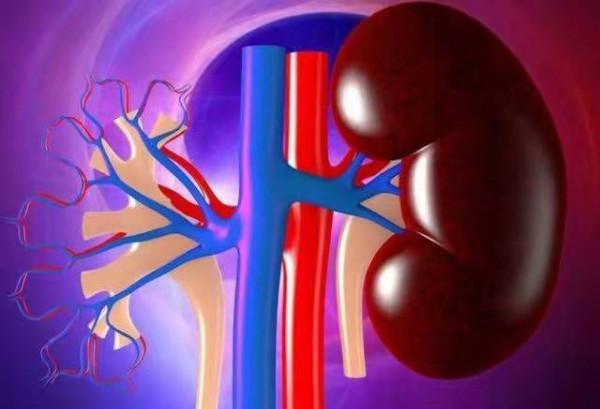 換了腎還需要透析嗎？醫生提醒：嚴防腎病，注意尿液的4個變化