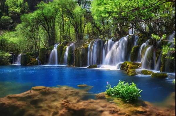 走,去川西看秋色大片 走,去川西看秋色大片