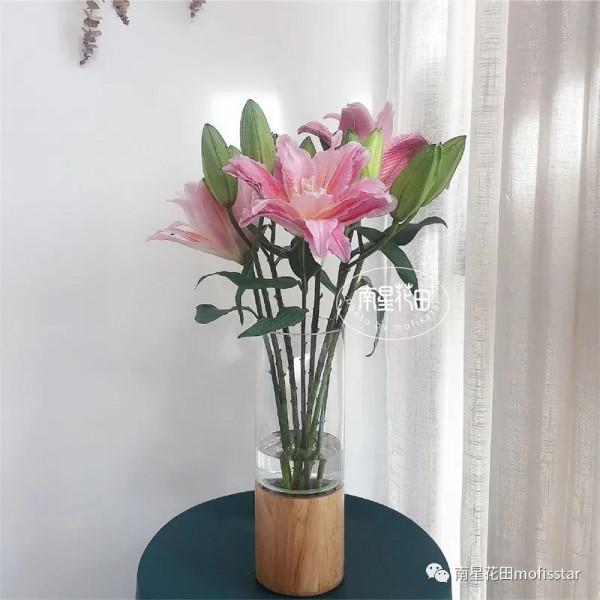 伊蒂莎重瓣百合 · 藥草甜香 伊蒂莎重瓣百合 · 藥草甜香