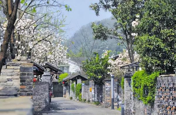 小鎮,地產行業裡的“新物種” 小鎮,地產行業裡的“新物種”