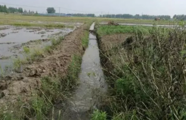 深圳，10個鮮為人知的事實