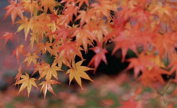 愛自己,是人生中最重要的事(值得一讀) 愛自己,是人生中最重要的事(值得一讀)