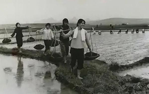 20歲上海女知青為愛留守，嫁入農村朝鮮族家庭，老年直言從不後悔