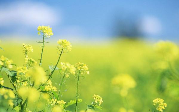 五個能讓我們過好人生的句子，你最喜歡哪個？