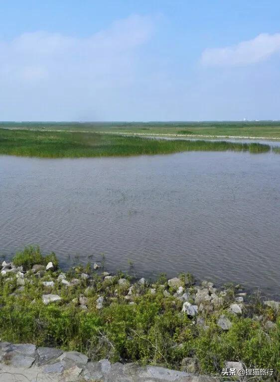 上海市最美的鄉村——橫沙鄉，只能坐船抵達，是中國長壽之島