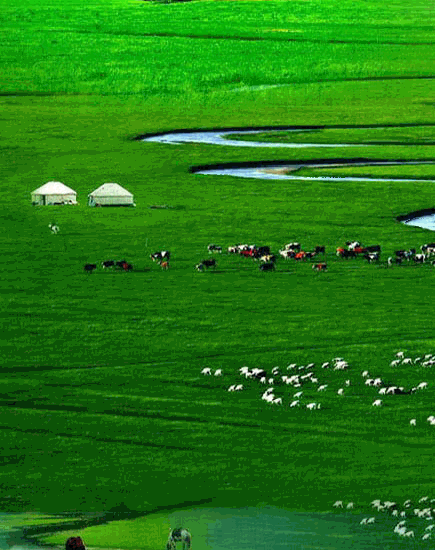 草原我之戀 草原我之戀