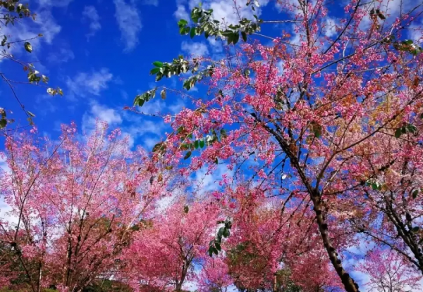 美極了!冬天的這10個地方美景依舊,四季的景色你都能找到 美極了!冬天的這10個地方美景依舊,四季的景色你都能找到