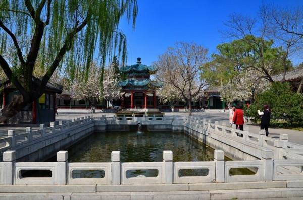 作為一個地道的北京土著,中山公園啊,都是小時候滿滿的記憶 作為一個地道的北京土著,中山公園啊,都是小時候滿滿的記憶