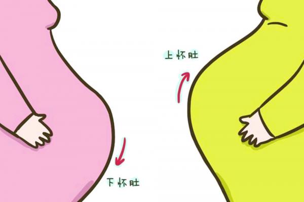 懷孕後,孕媽是“上懷”還是“下懷”?二者區別在此,快來了解下 懷孕後,孕媽是“上懷”還是“下懷”?二者區別在此,快來了解下