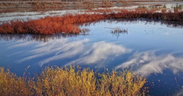 抓住秋天的尾巴，快來這8個絕美旅行地，享受當下的美景吧