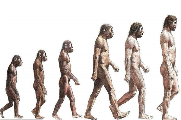 一夫一妻導致自然選擇失效，人類停止進化？研究：正在加速