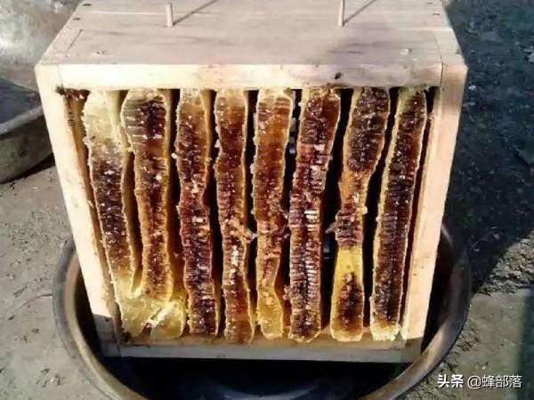 3種冬天才能釀出的蜂蜜，一種比一種貴，還是標準的“土蜂蜜”