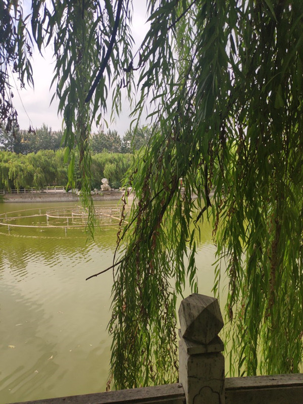 雨過天晴 公園一日遊
