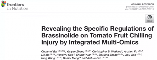 【科研進展】北京市農林科學院加工所聯合蔬菜所揭示油菜素內酯調控番茄果實採後冷害新機制